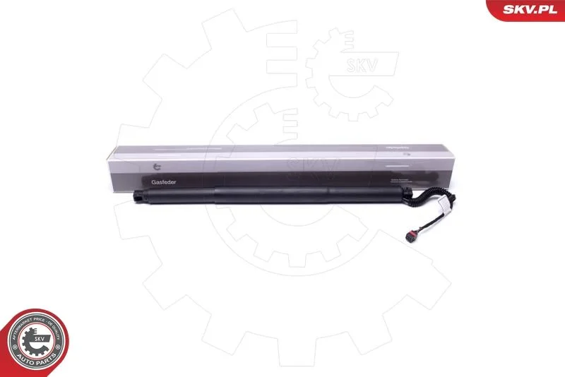 Električni motor, zadnja vrata ESEN SKV 52SKV904