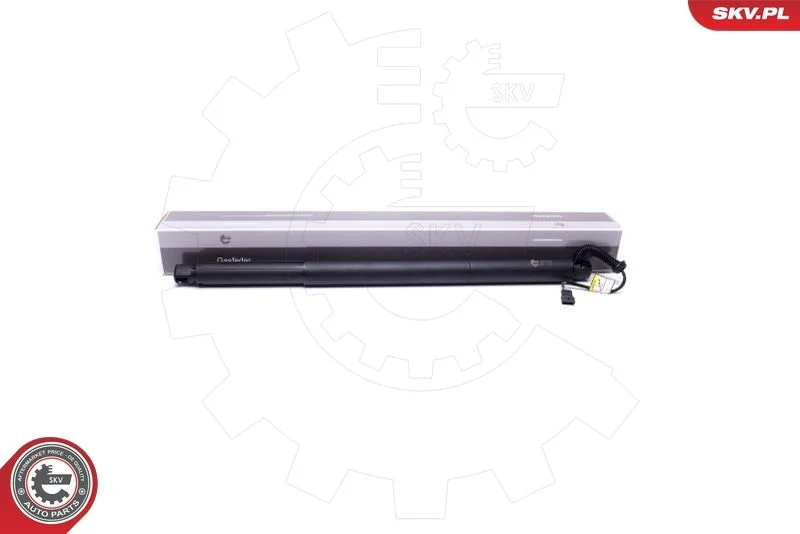 Električni motor, zadnja vrata ESEN SKV 52SKV905