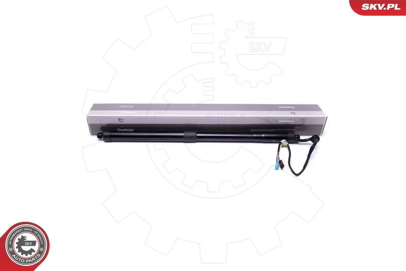 Električni motor, zadnja vrata ESEN SKV 52SKV906