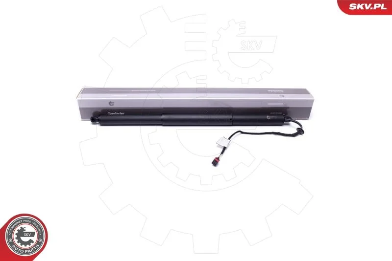 Električni motor, zadnja vrata ESEN SKV 52SKV907