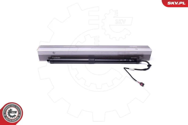 Električni motor, zadnja vrata ESEN SKV 52SKV908