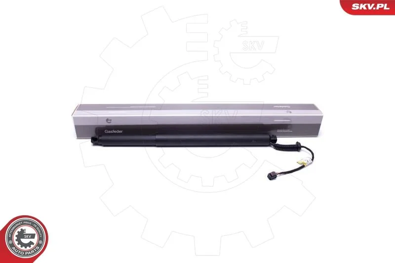Električni motor, zadnja vrata ESEN SKV 52SKV913