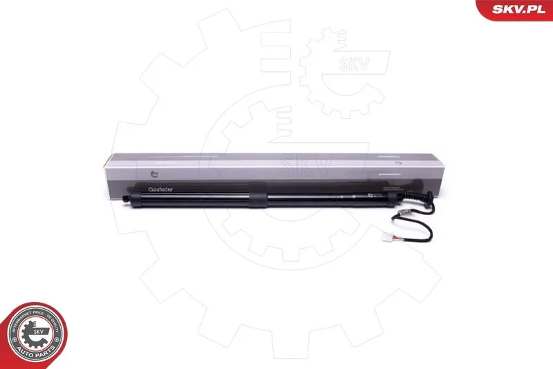 Električni motor, zadnja vrata ESEN SKV 52SKV915
