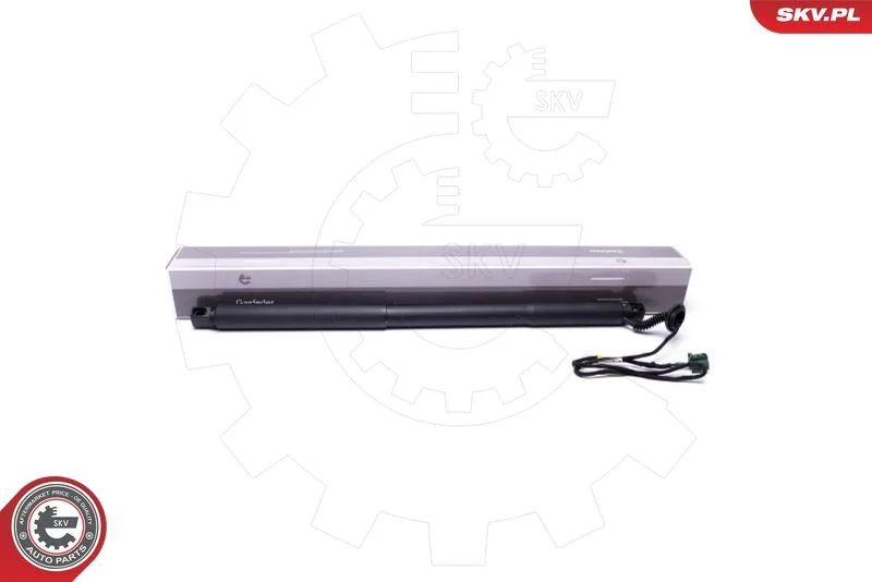 Električni motor, zadnja vrata ESEN SKV 52SKV921