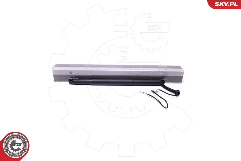 Električni motor, zadnja vrata ESEN SKV 52SKV924