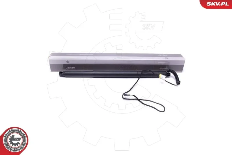 Električni motor, zadnja vrata ESEN SKV 52SKV931