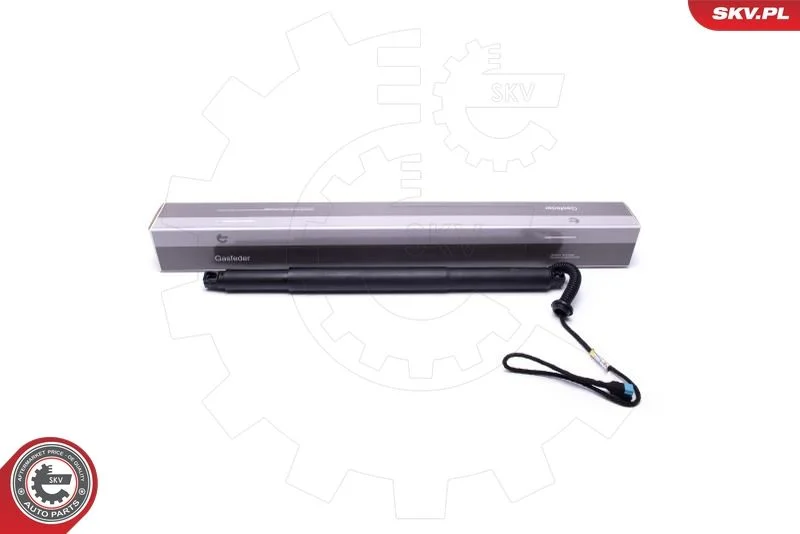 Električni motor, zadnja vrata ESEN SKV 52SKV935