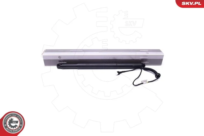 Električni motor, zadnja vrata ESEN SKV 52SKV936