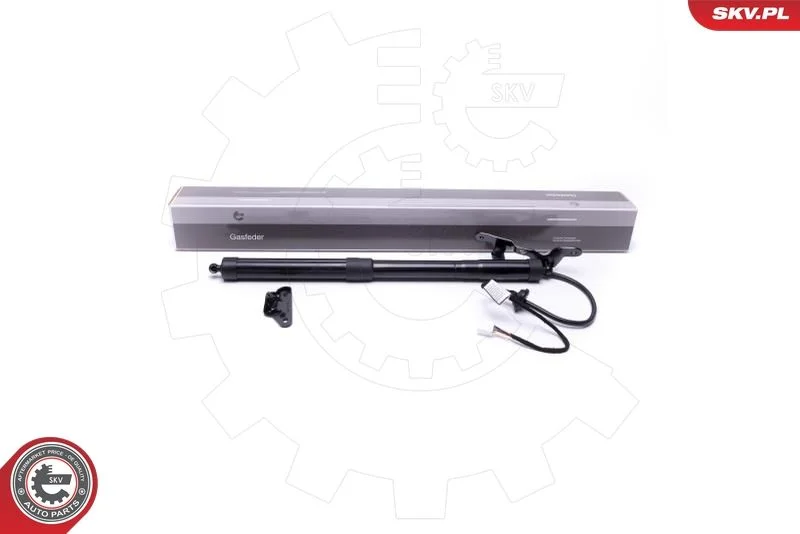 Električni motor, zadnja vrata ESEN SKV 52SKV938