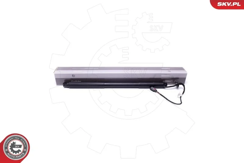 Električni motor, zadnja vrata ESEN SKV 52SKV939
