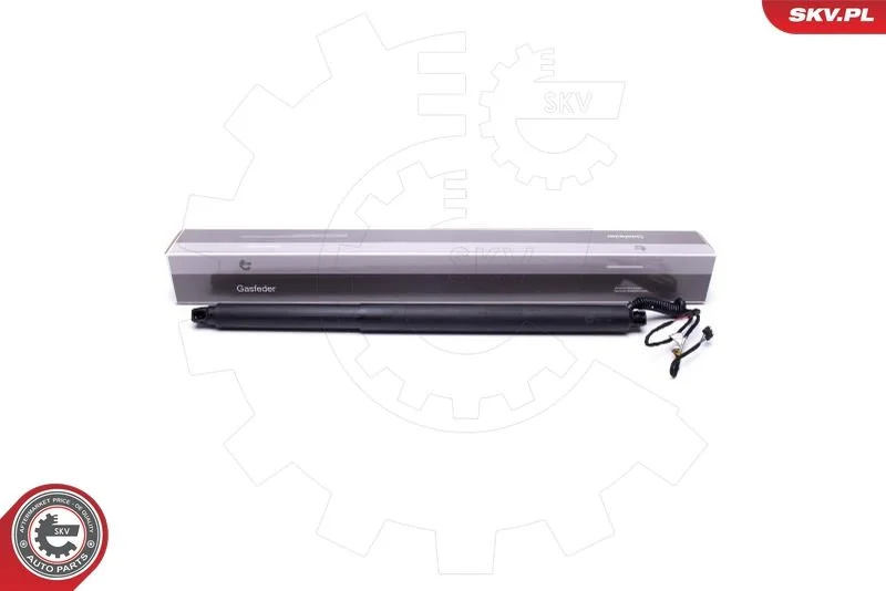 Električni motor, zadnja vrata ESEN SKV 52SKV941