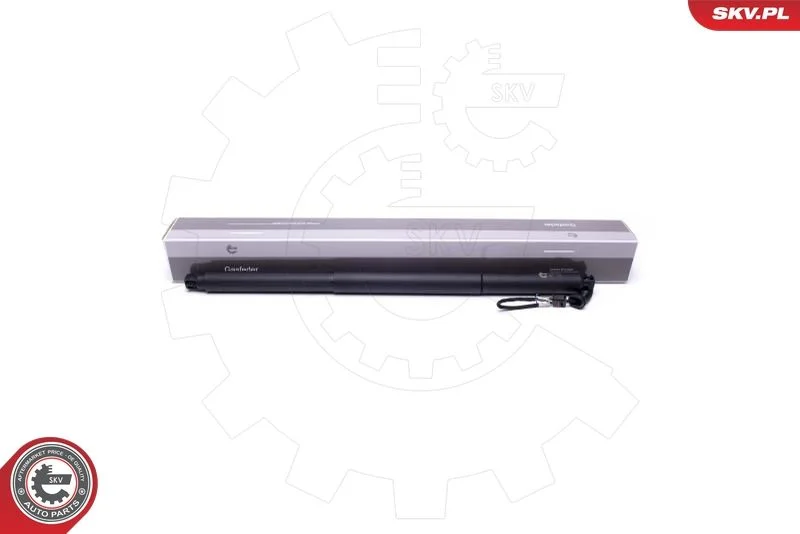 Električni motor, zadnja vrata ESEN SKV 52SKV943