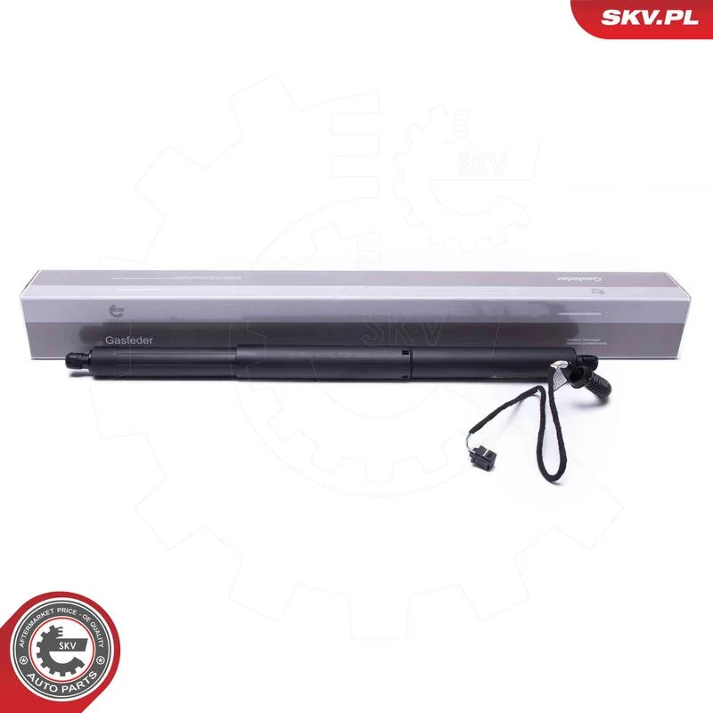 Električni motor, zadnja vrata ESEN SKV 52SKV953