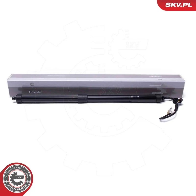 Električni motor, zadnja vrata ESEN SKV 52SKV954