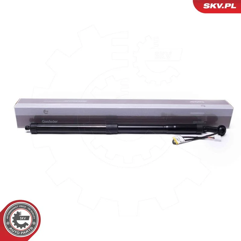 Električni motor, zadnja vrata ESEN SKV 52SKV956