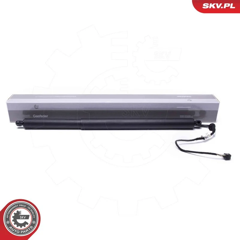 Električni motor, zadnja vrata ESEN SKV 52SKV967