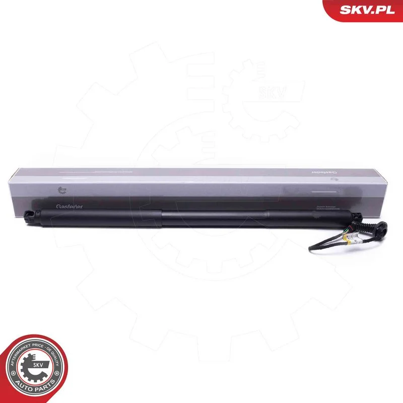 Električni motor, zadnja vrata ESEN SKV 52SKV968
