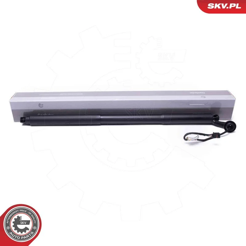 Električni motor, zadnja vrata ESEN SKV 52SKV969