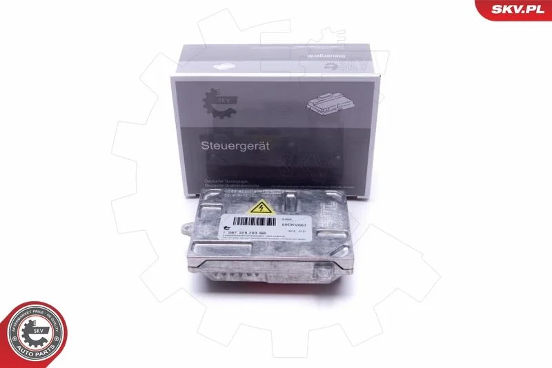 Control Unit, lights ESEN SKV 59SKV061