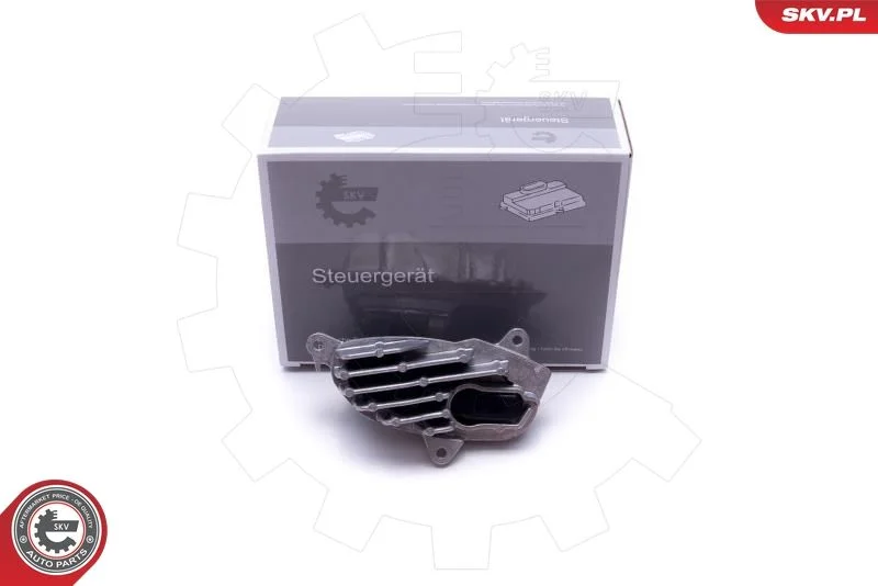 Control Unit, lights ESEN SKV 59SKV131
