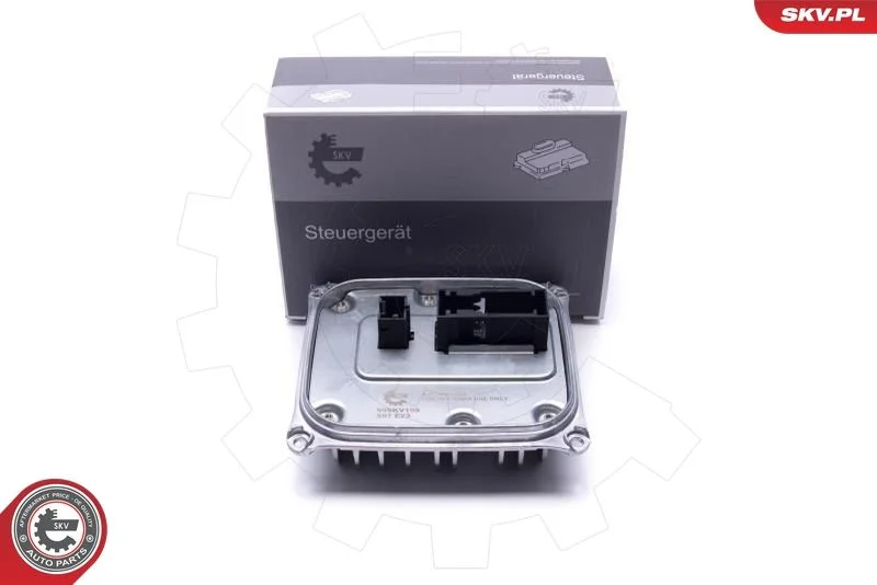 Control Unit, lights ESEN SKV 59SKV169