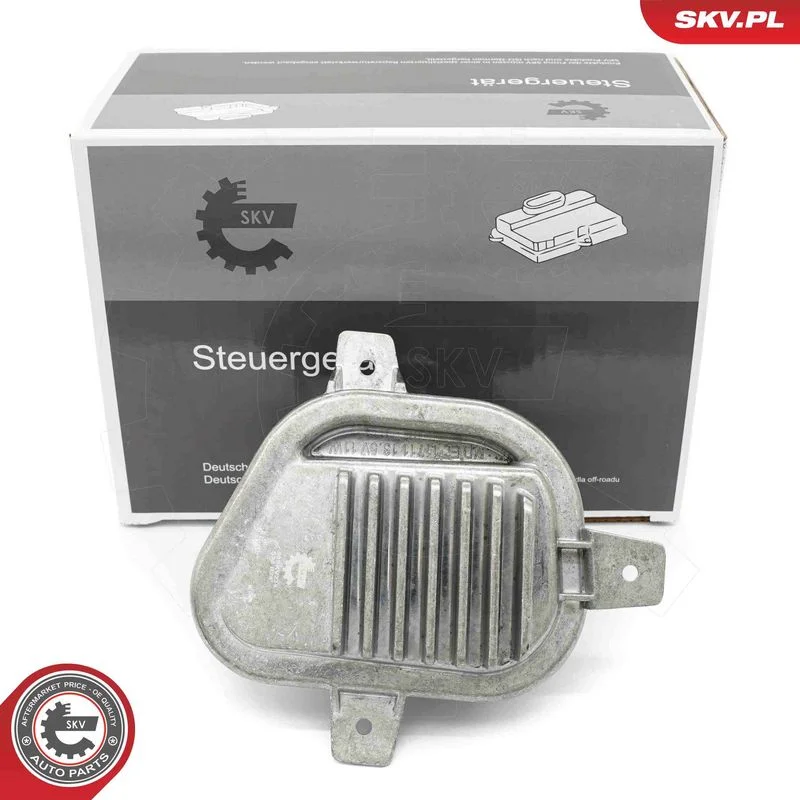 Control Unit, lights ESEN SKV 59SKV234