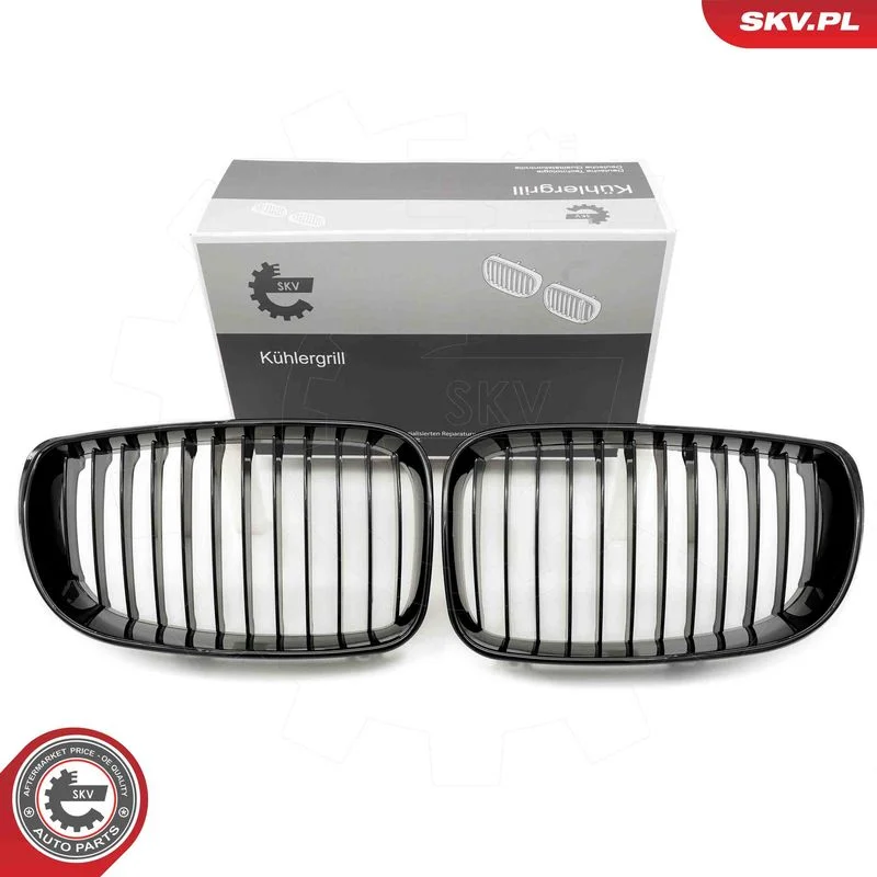 Radiator Grille ESEN SKV 66SKV006