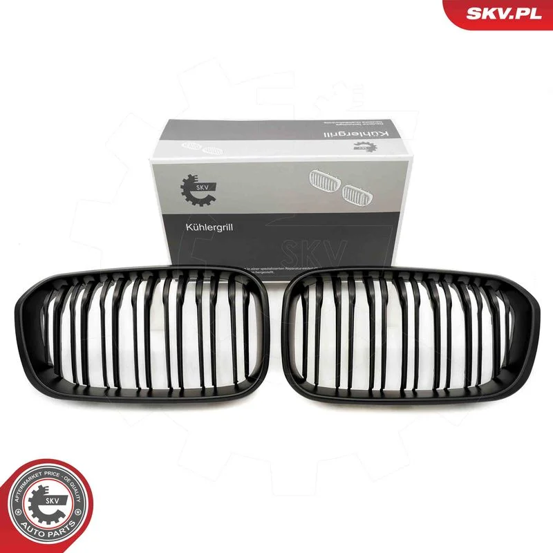 Radiator Grille ESEN SKV 66SKV022