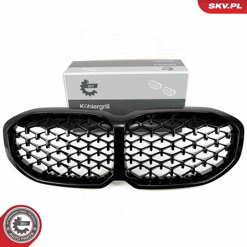 Radiator Grille ESEN SKV 66SKV027