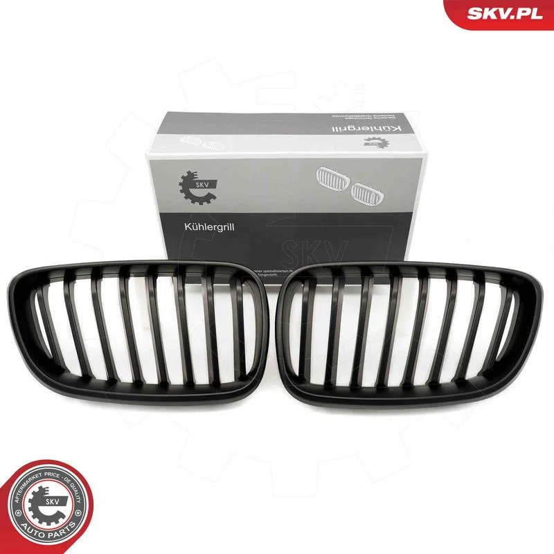 Radiator Grille ESEN SKV 66SKV030