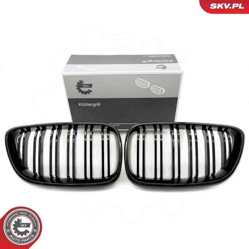 Radiator Grille ESEN SKV 66SKV032