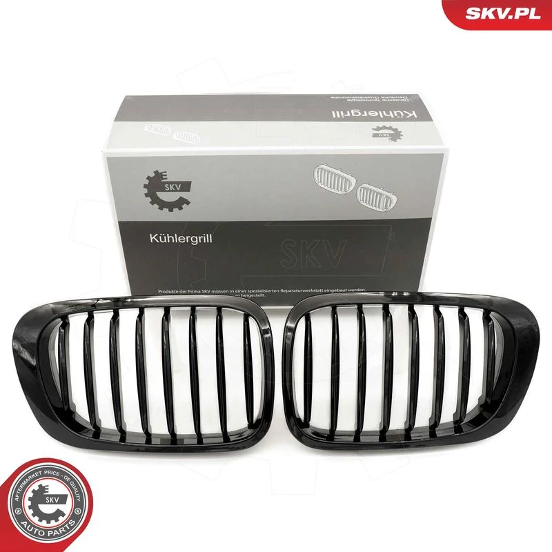 Radiator Grille ESEN SKV 66SKV055