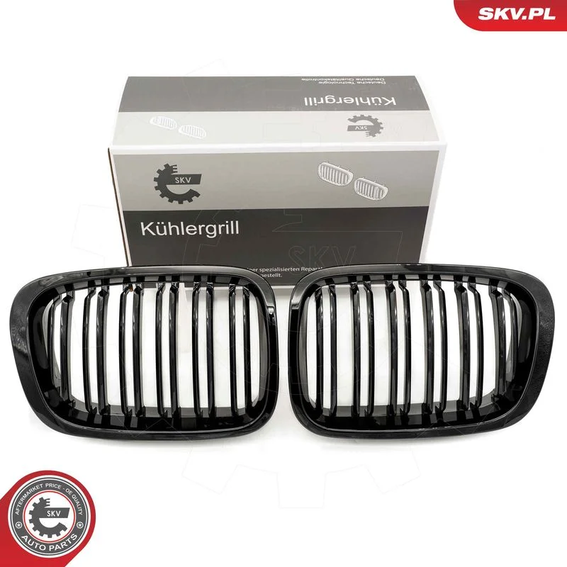 Radiator Grille ESEN SKV 66SKV066