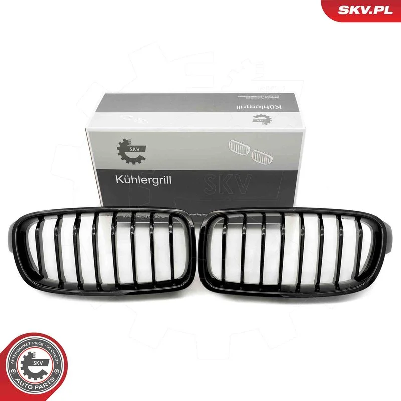 Radiator Grille ESEN SKV 66SKV120