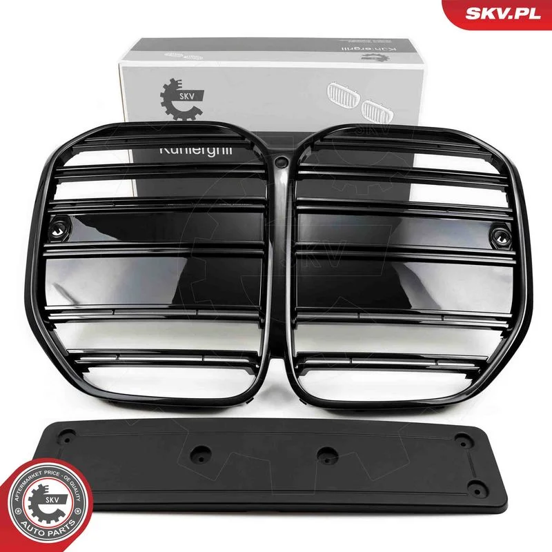 Radiator Grille ESEN SKV 66SKV155