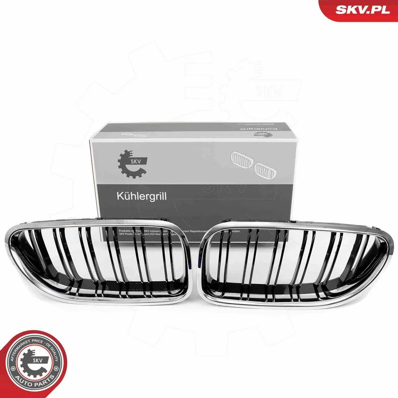 Radiator Grille ESEN SKV 66SKV208
