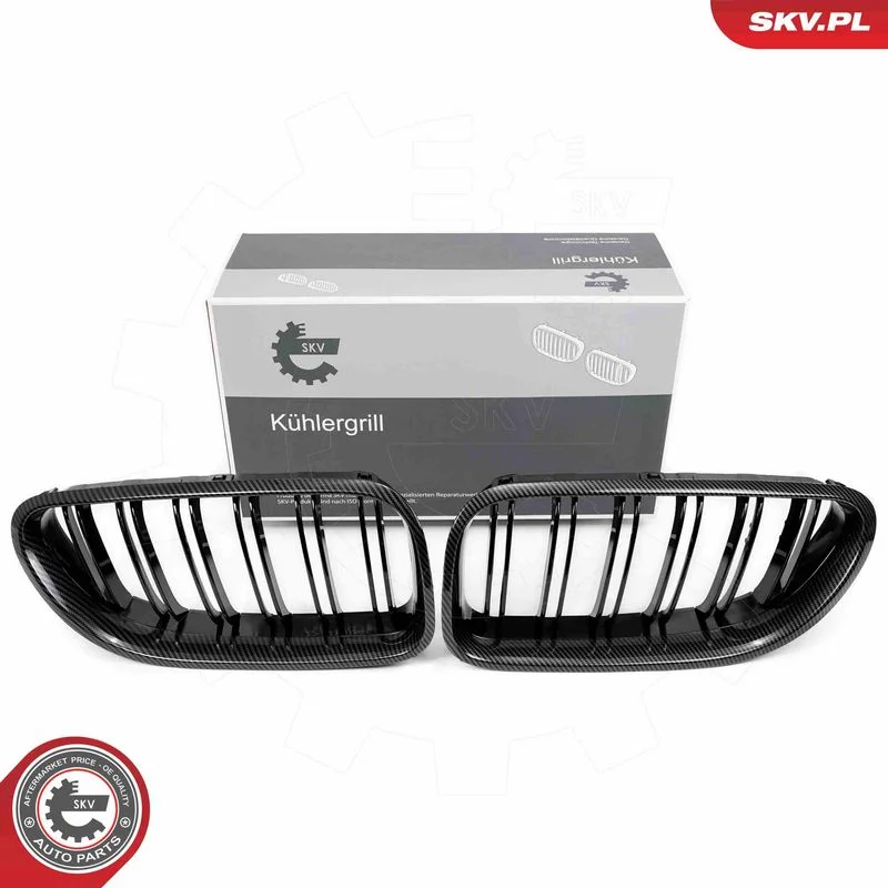 Radiator Grille ESEN SKV 66SKV209