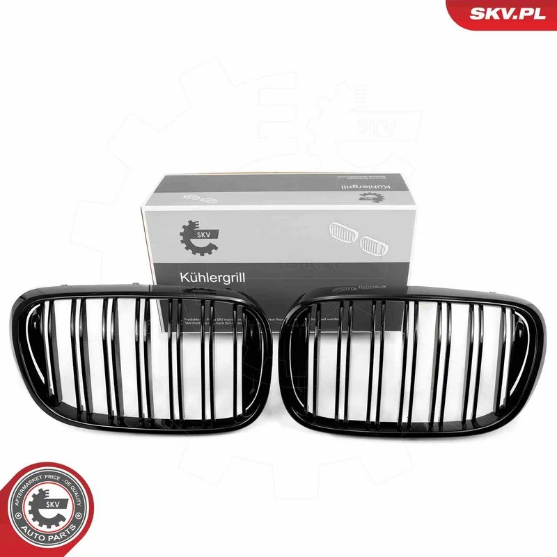 Radiator Grille ESEN SKV 66SKV223