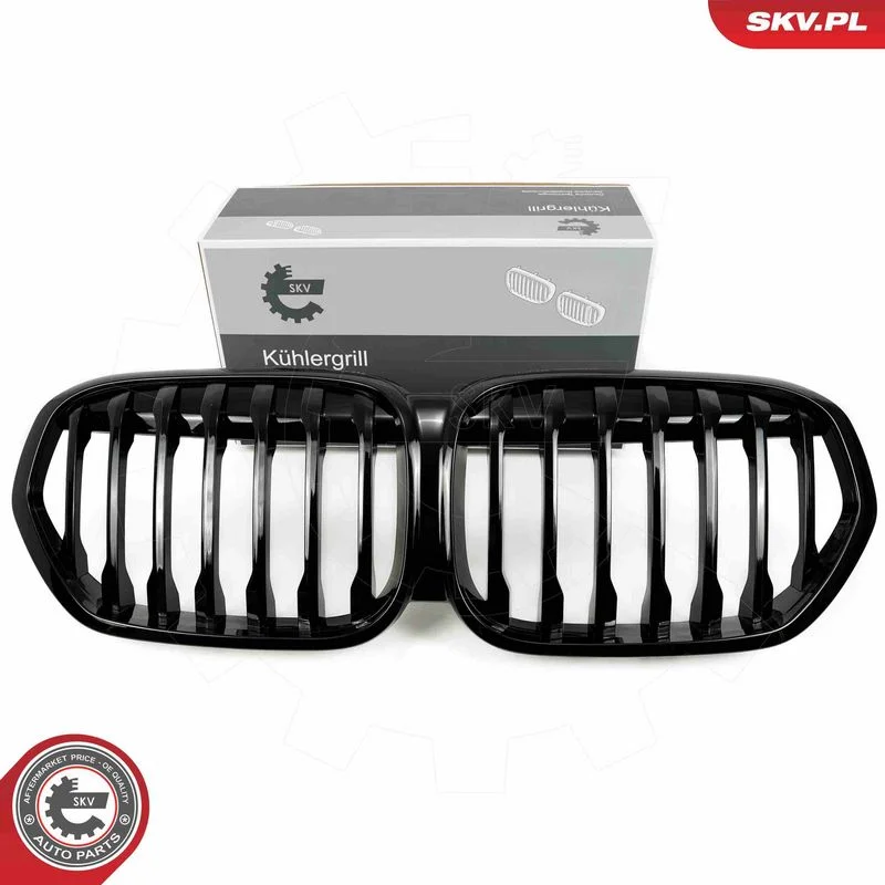 Radiator Grille ESEN SKV 66SKV242