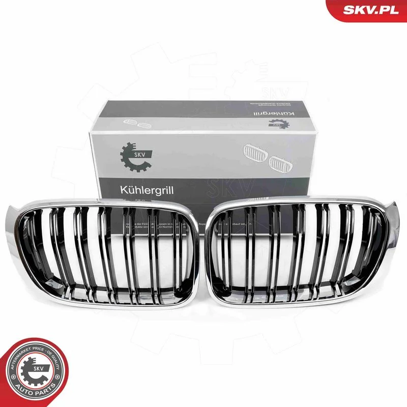 Radiator Grille ESEN SKV 66SKV256