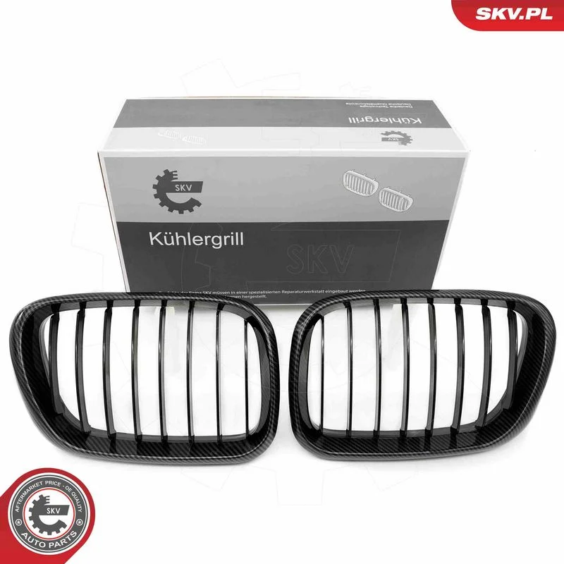 Radiator Grille ESEN SKV 66SKV274