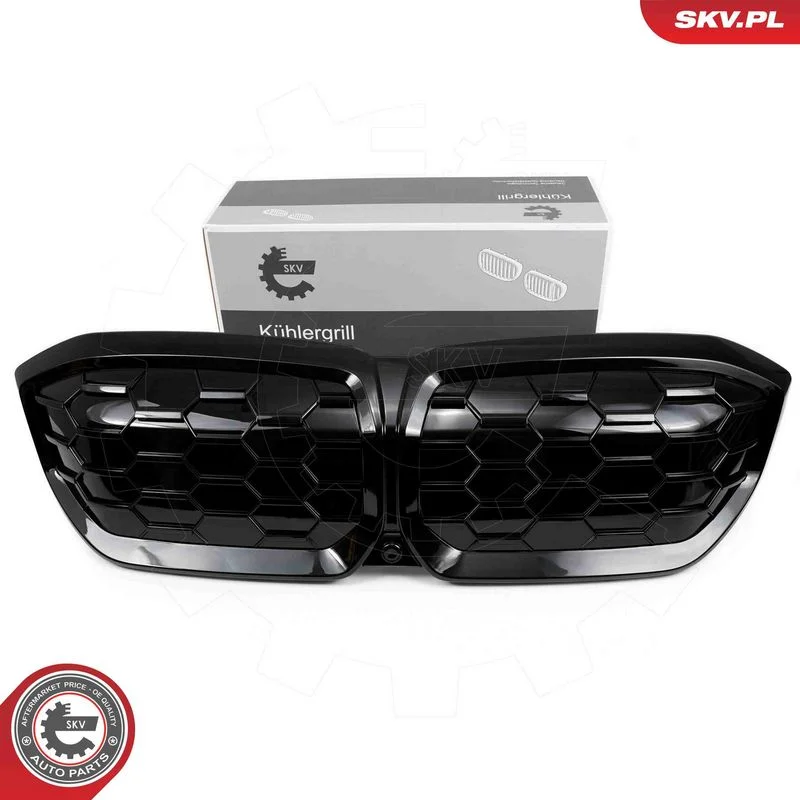 Radiator Grille ESEN SKV 66SKV317