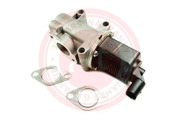 Ventil EGR at autoteile germany at21013