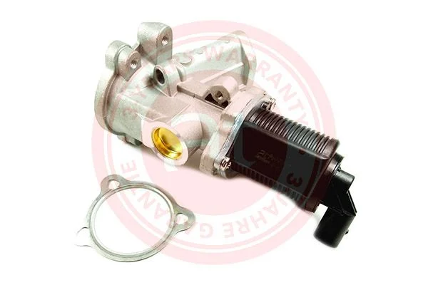 EGR Valve at autoteile germany at21014