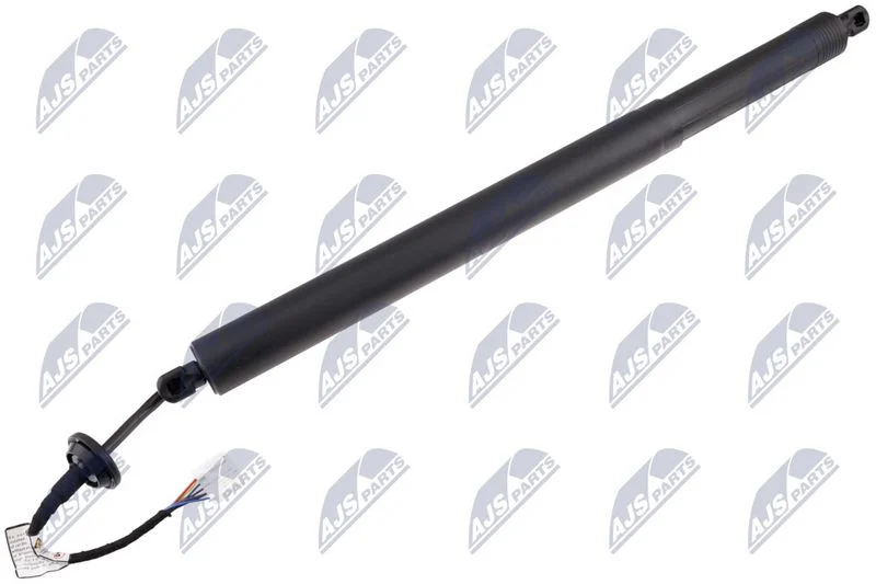 Electric Motor, tailgate NTY AE-RE-079