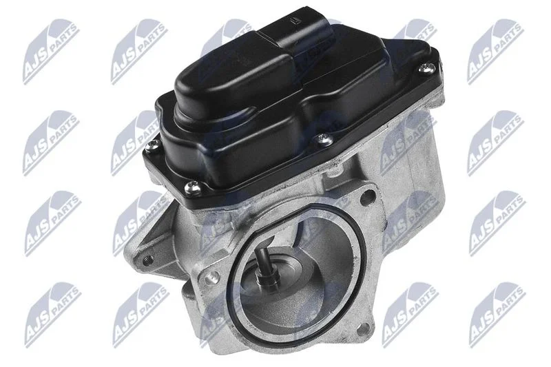 Ventil EGR NTY EGR-AU-002