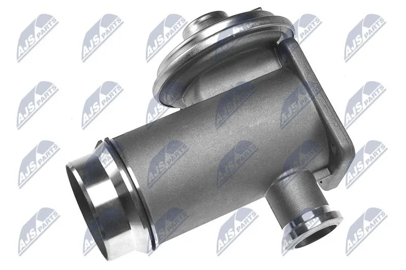 EGR Valve NTY EGR-BM-002