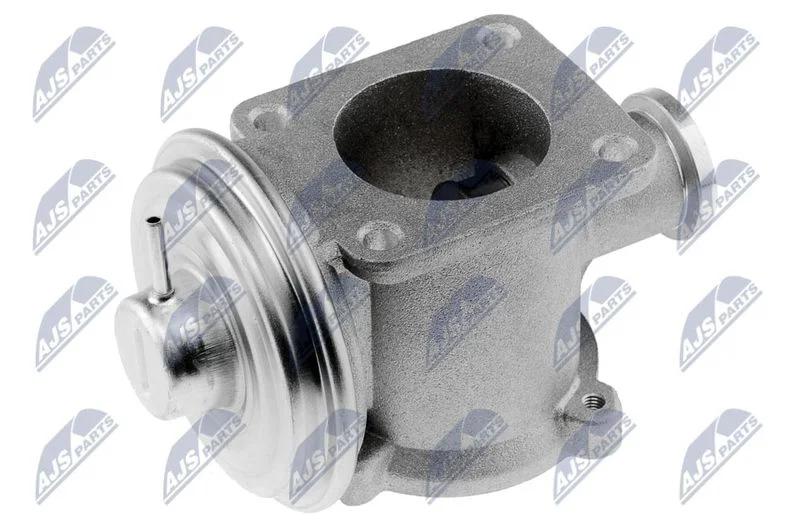 EGR Valve NTY EGR-BM-003