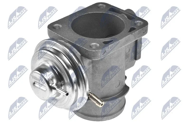 EGR Valve NTY EGR-BM-005