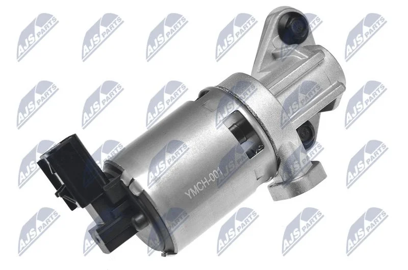 EGR Valve NTY EGR-CH-001